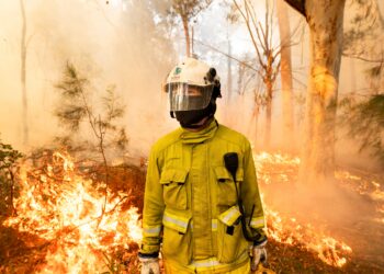 Blazing a line of defence against bushfires