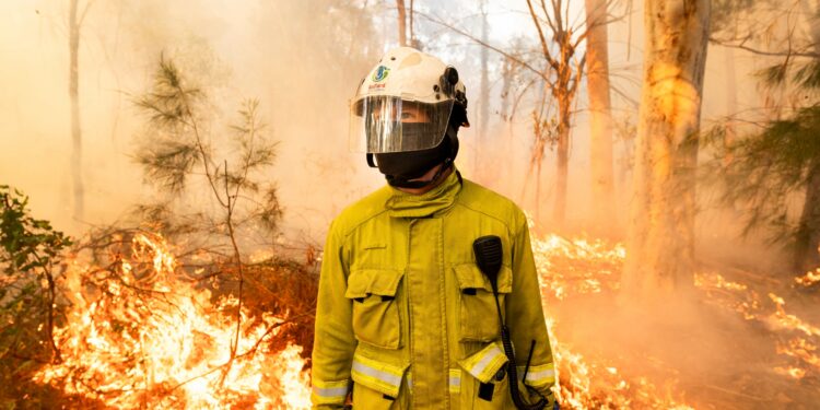 Blazing a line of defence against bushfires
